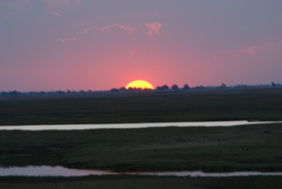 Sonnenuntergang im Busch